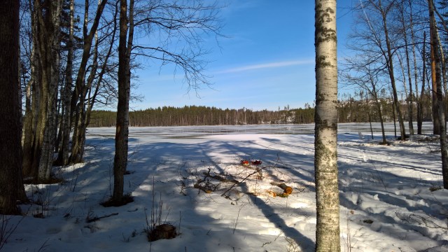 WP_20160327_14_19_46_Pro