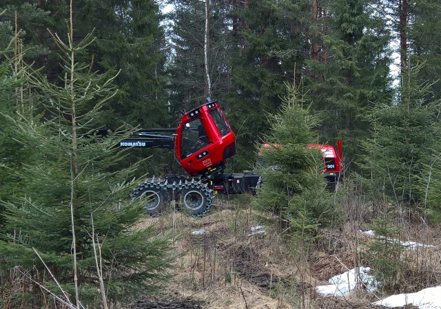 WP_20160417_09_36_03_Rich (2).jpg