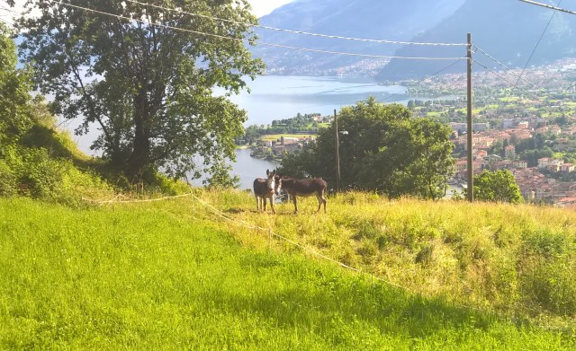 WP_20160611_17_56_45_Pro (2).jpg