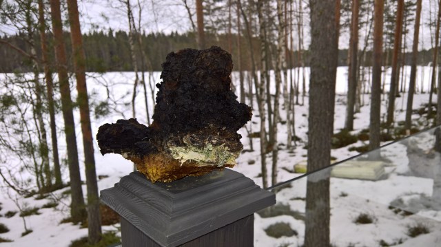 WP_20170318_16_09_26_Rich