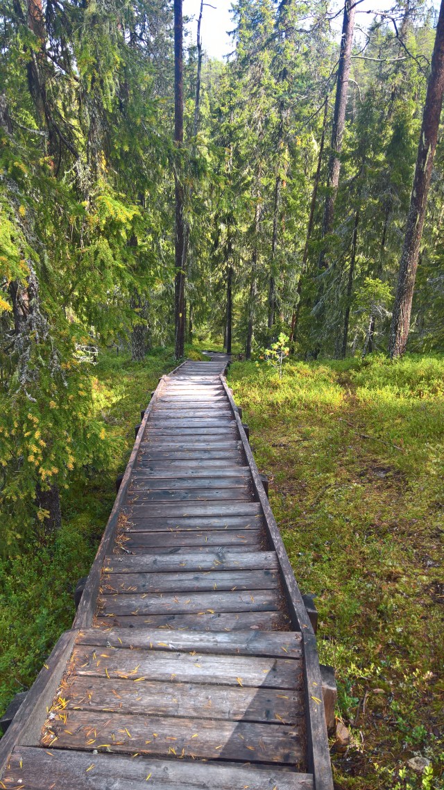 WP_20170911_13_06_55_Rich