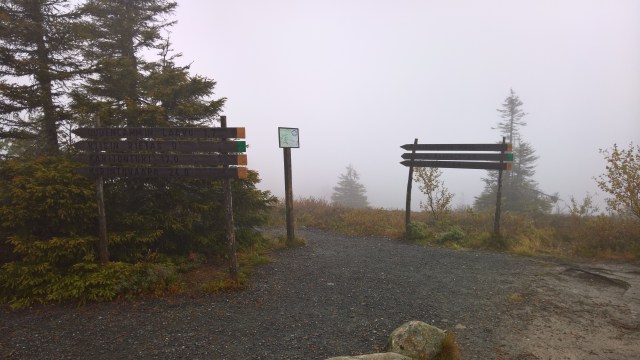 WP_20170912_10_23_46_Rich