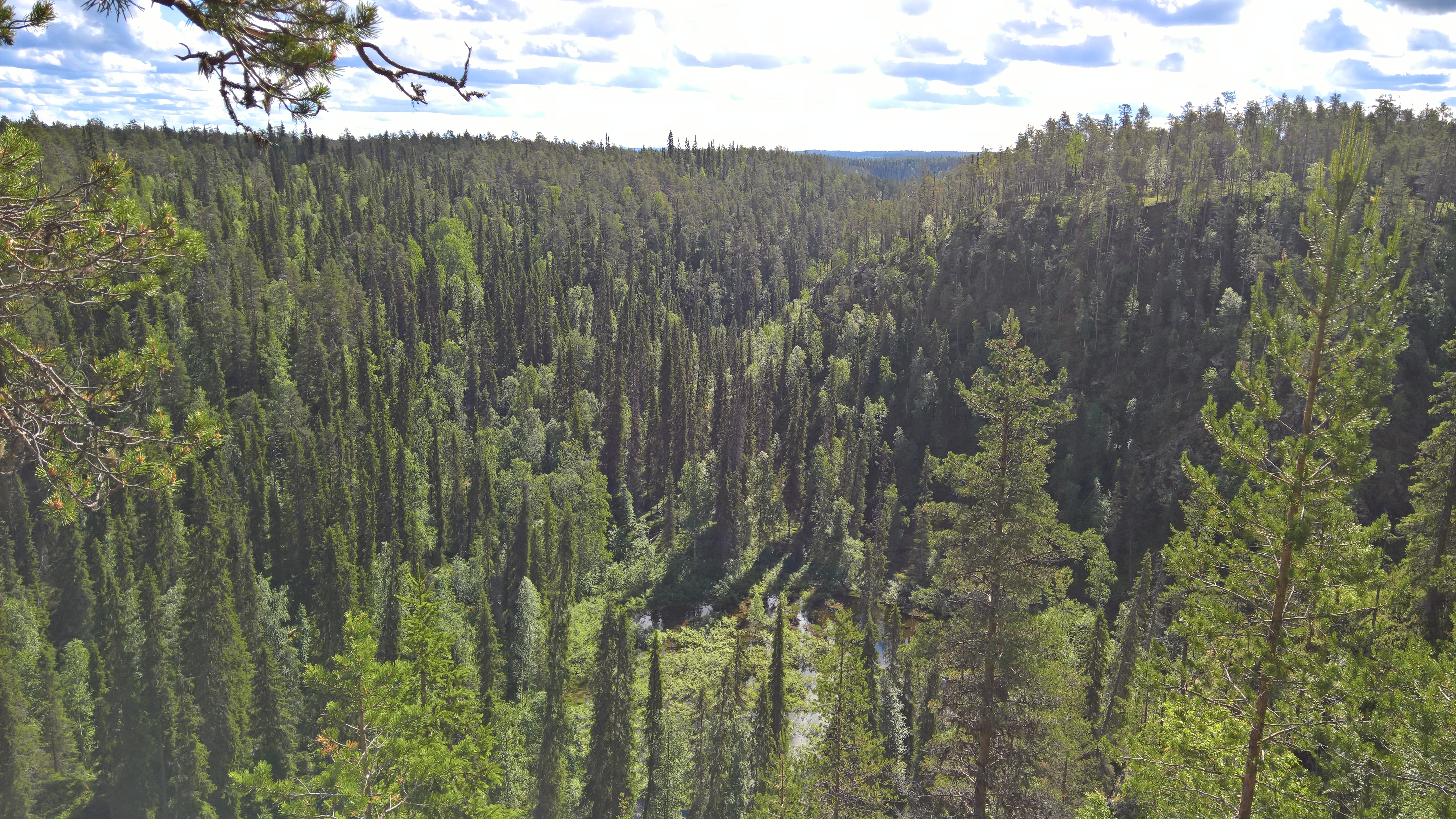 WP_20170719_10_19_15_Pro