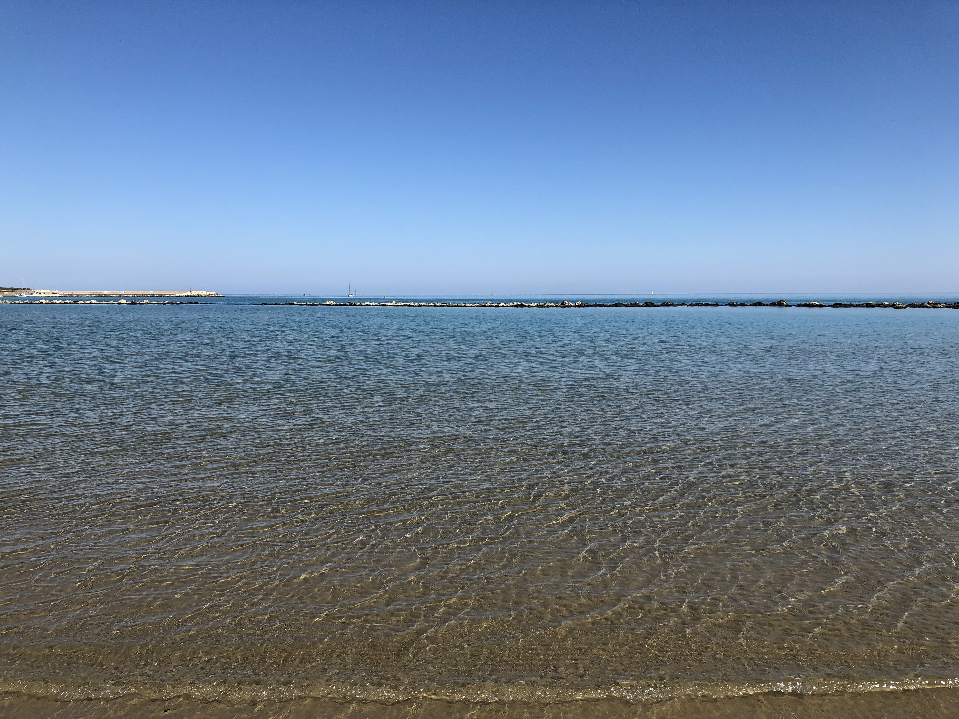 20190324_095603940_iOS