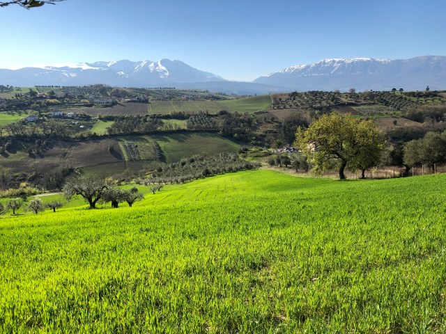 20190325_074138007_iOS