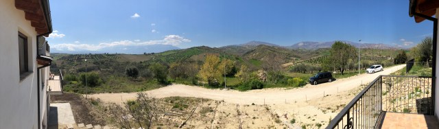 20190329_095846550_iOS