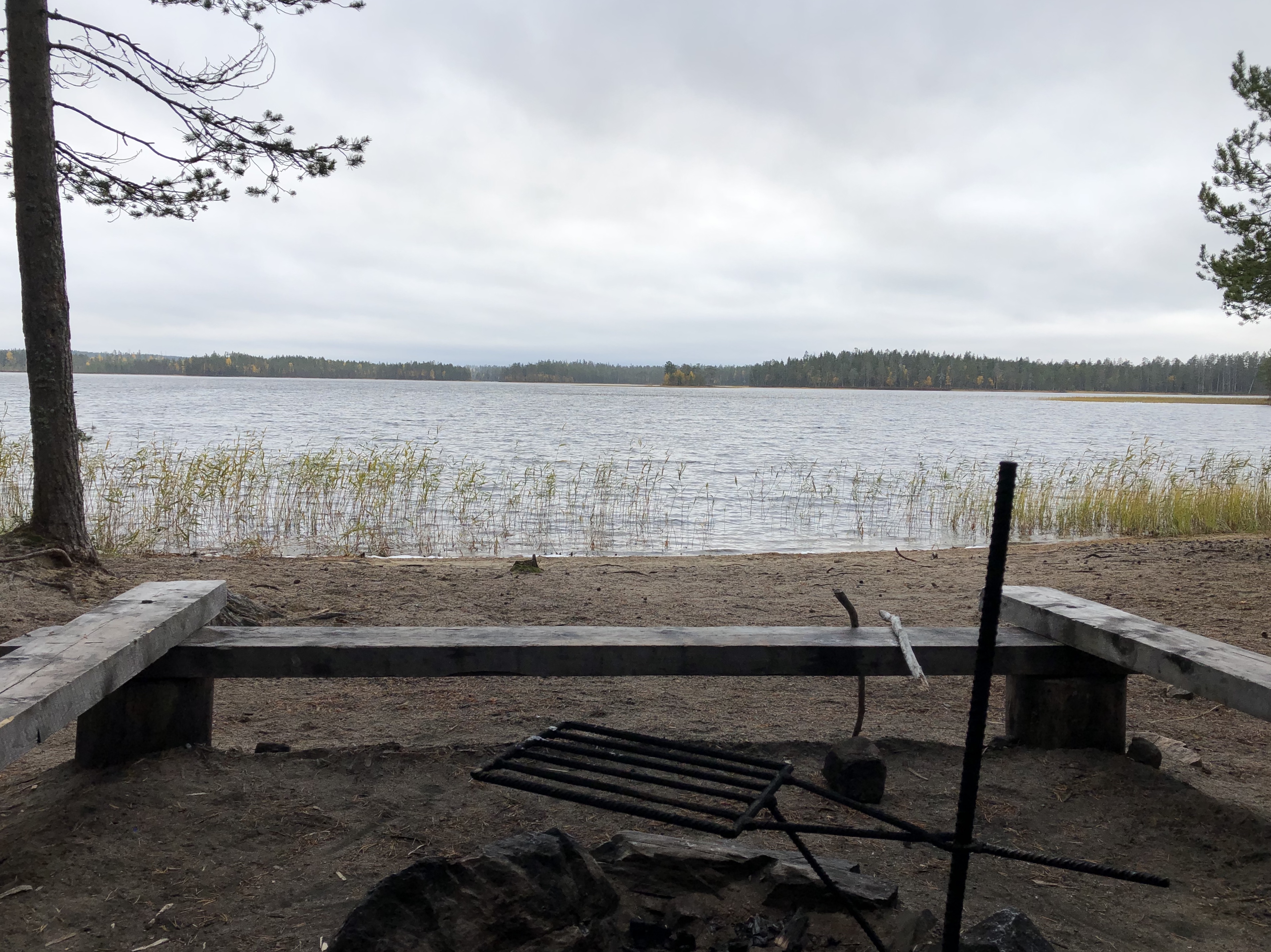 20190929_105306545_iOS