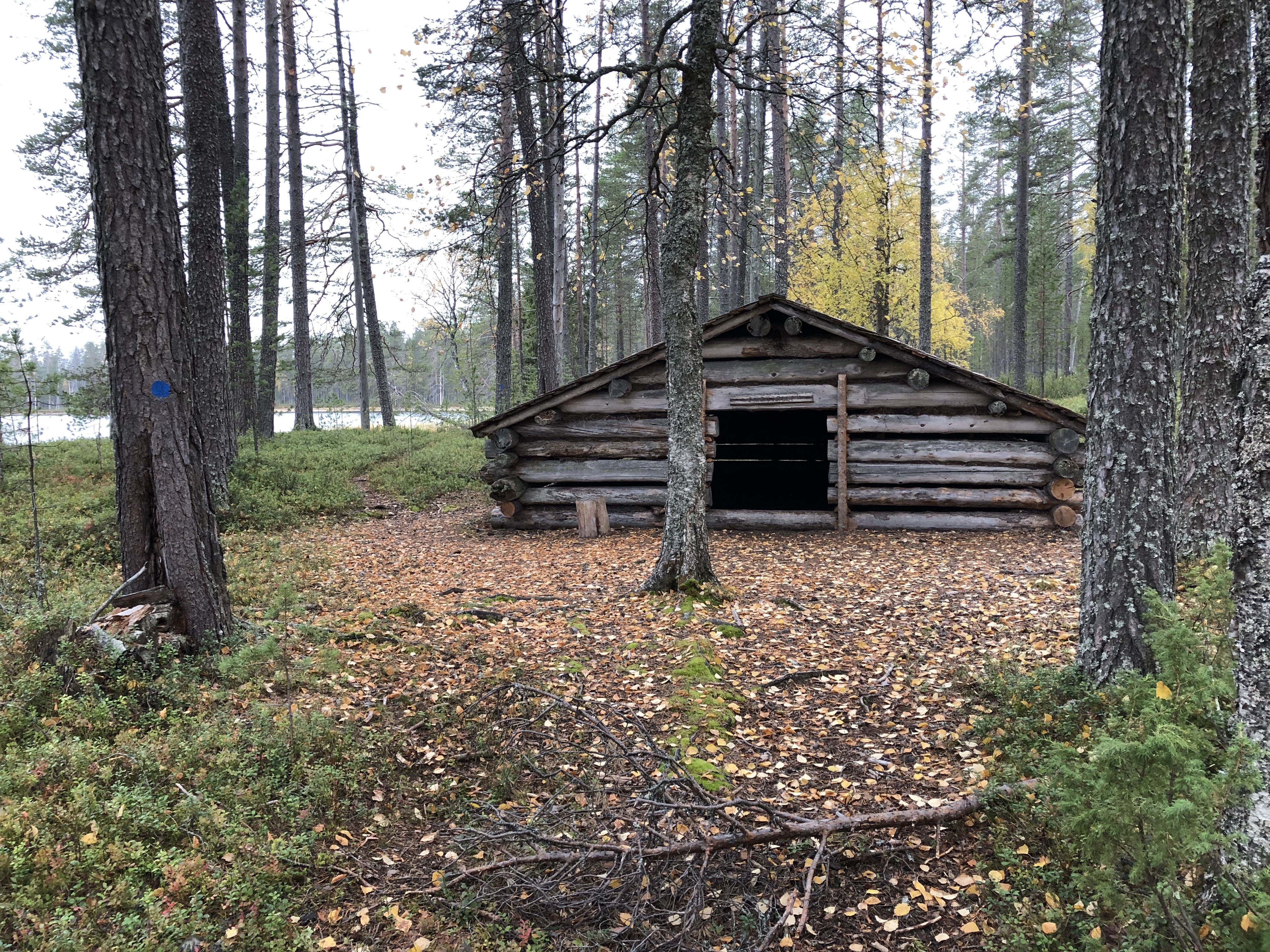 20190929_112033724_iOS