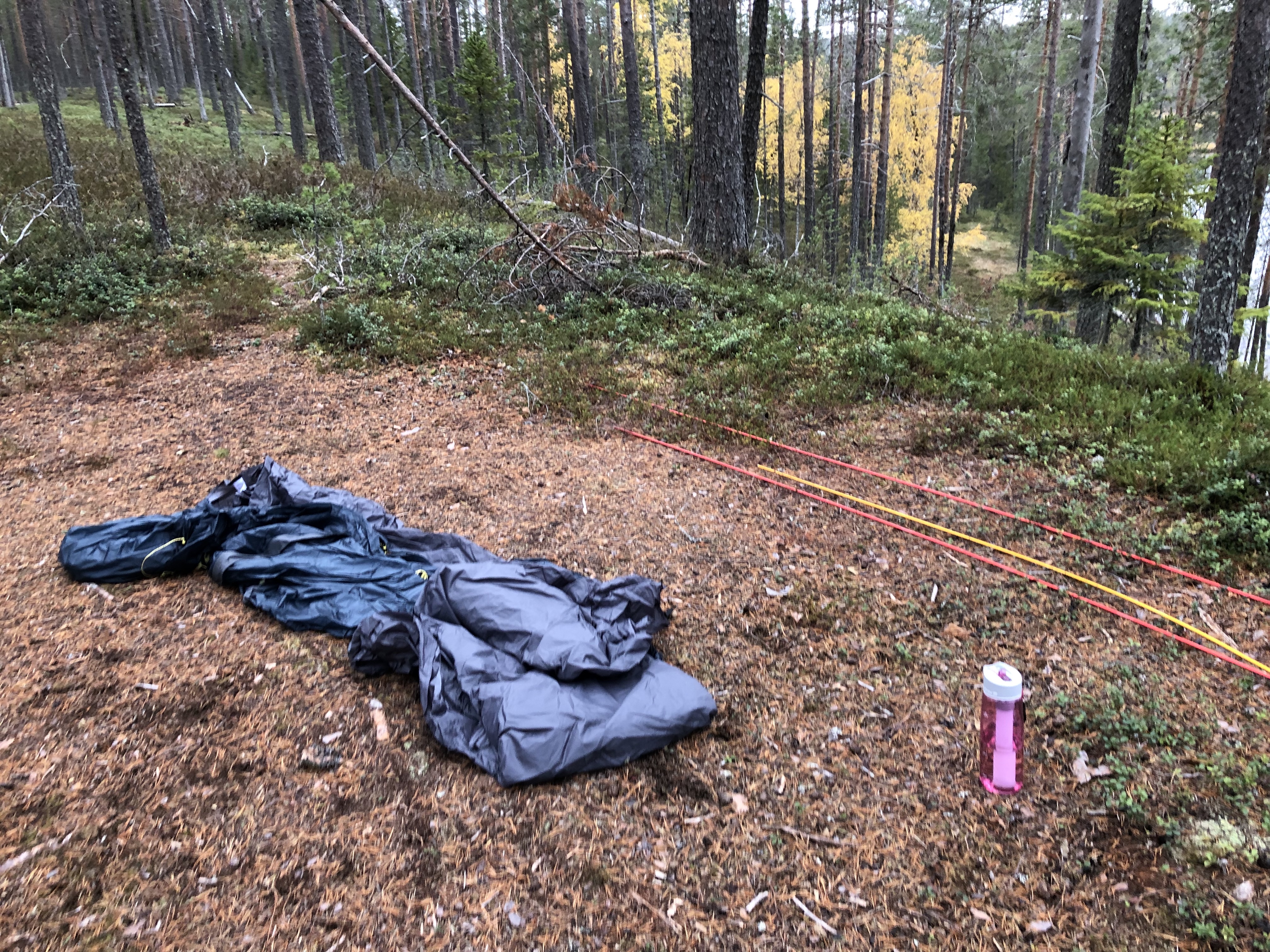 20190929_120233157_iOS