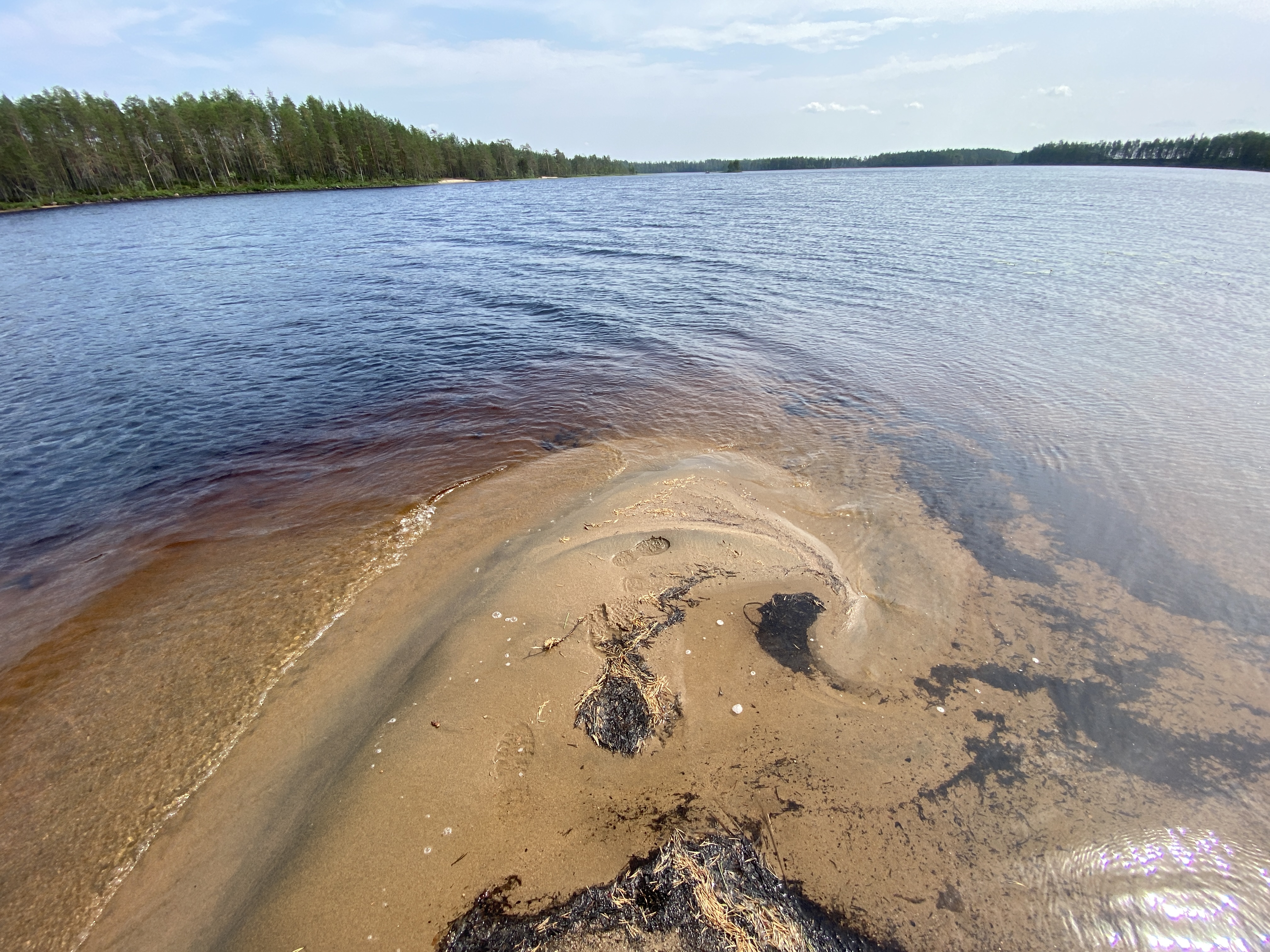 20200626_105026831_iOS