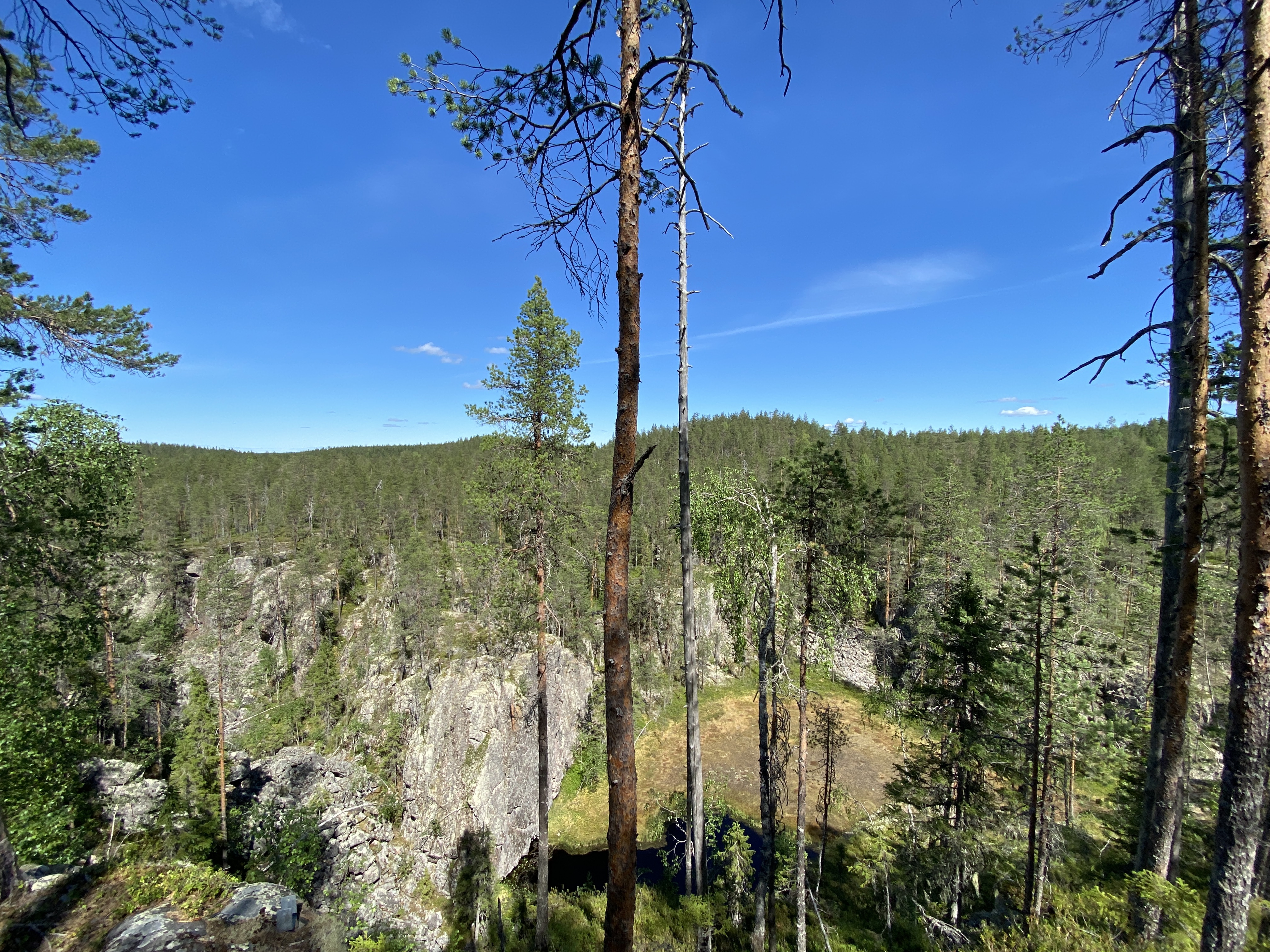 20200627_095152852_iOS