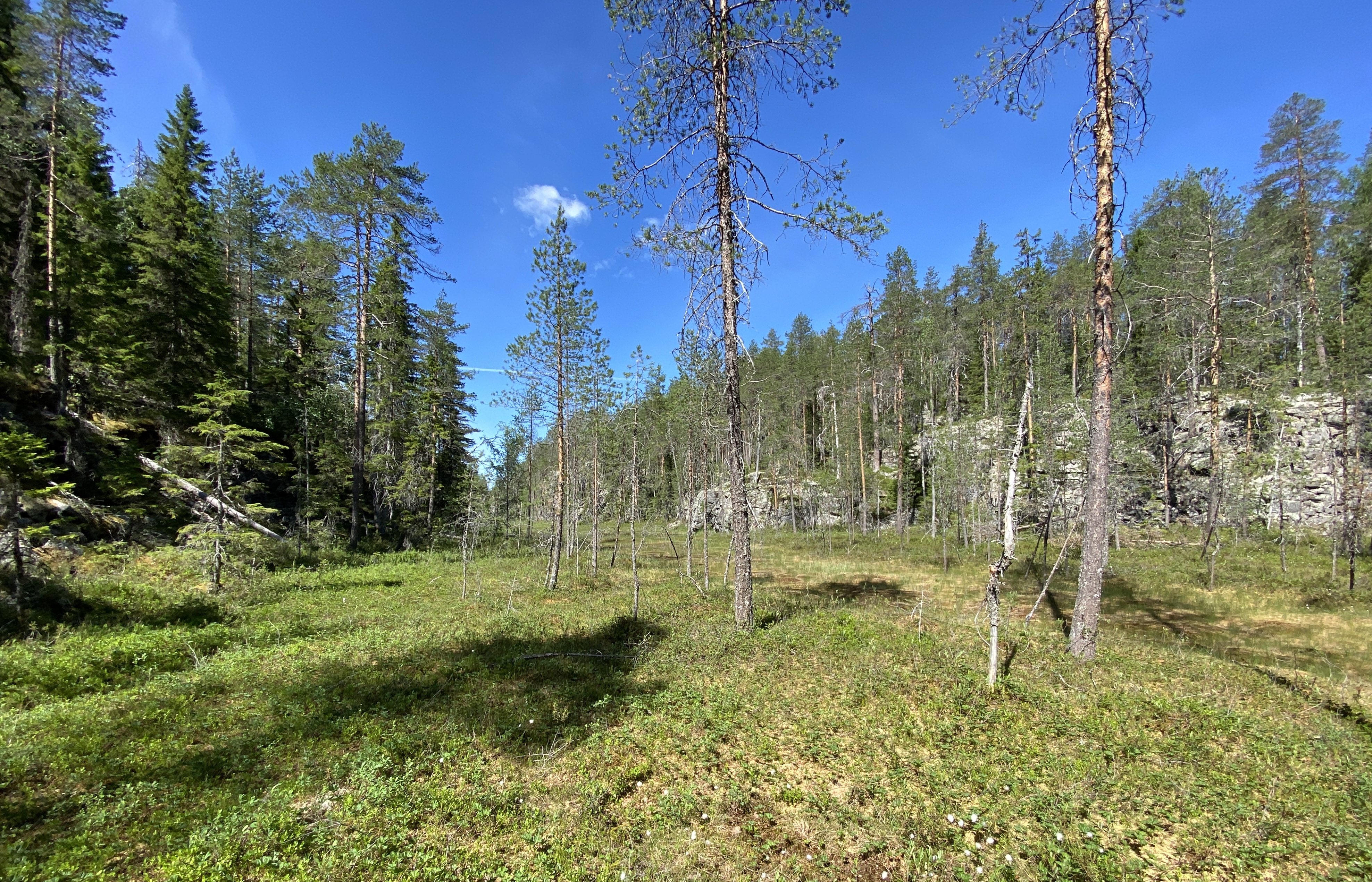 20200627_101404973_iOS