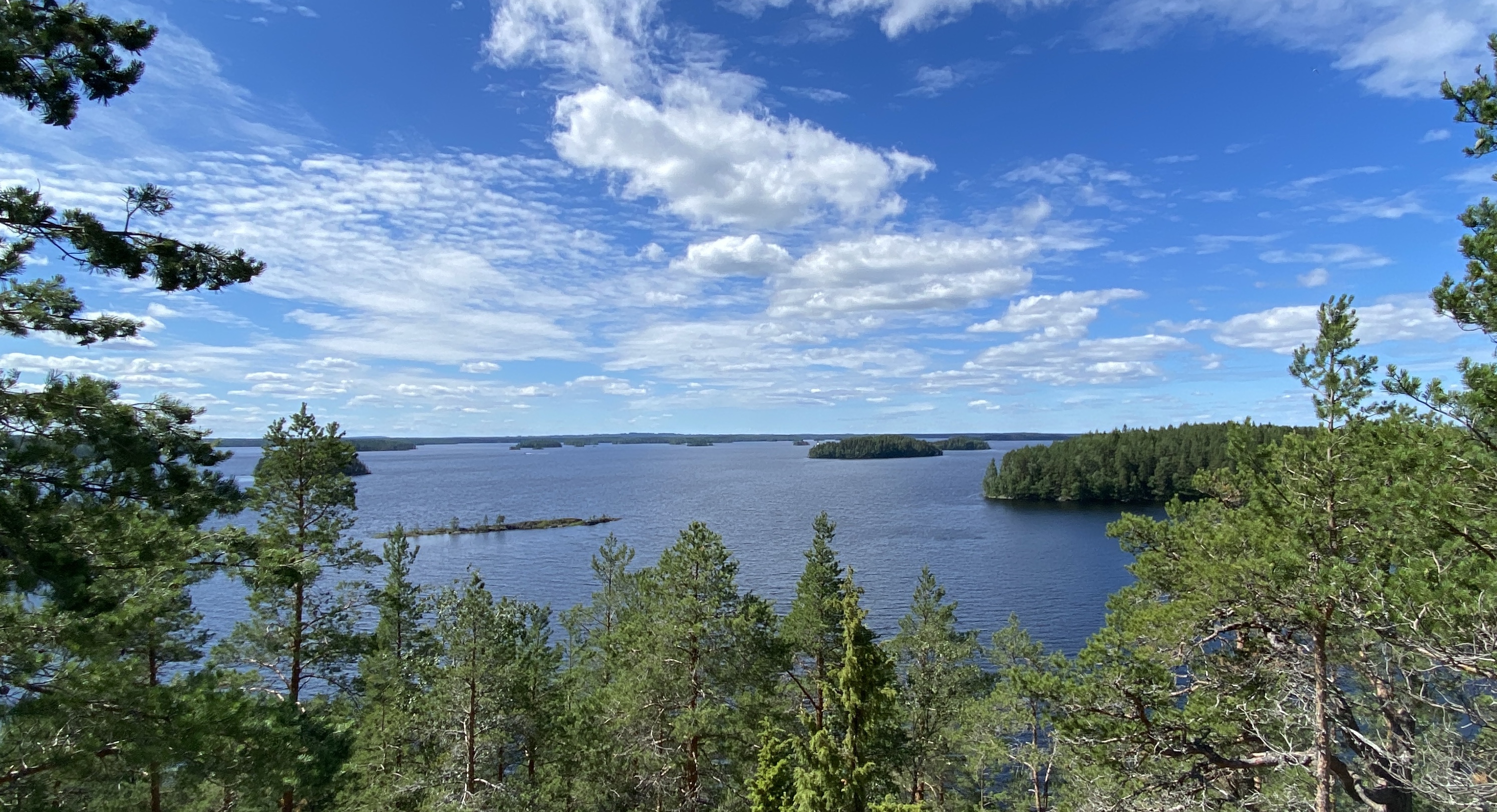 20200702_091601473_iOS