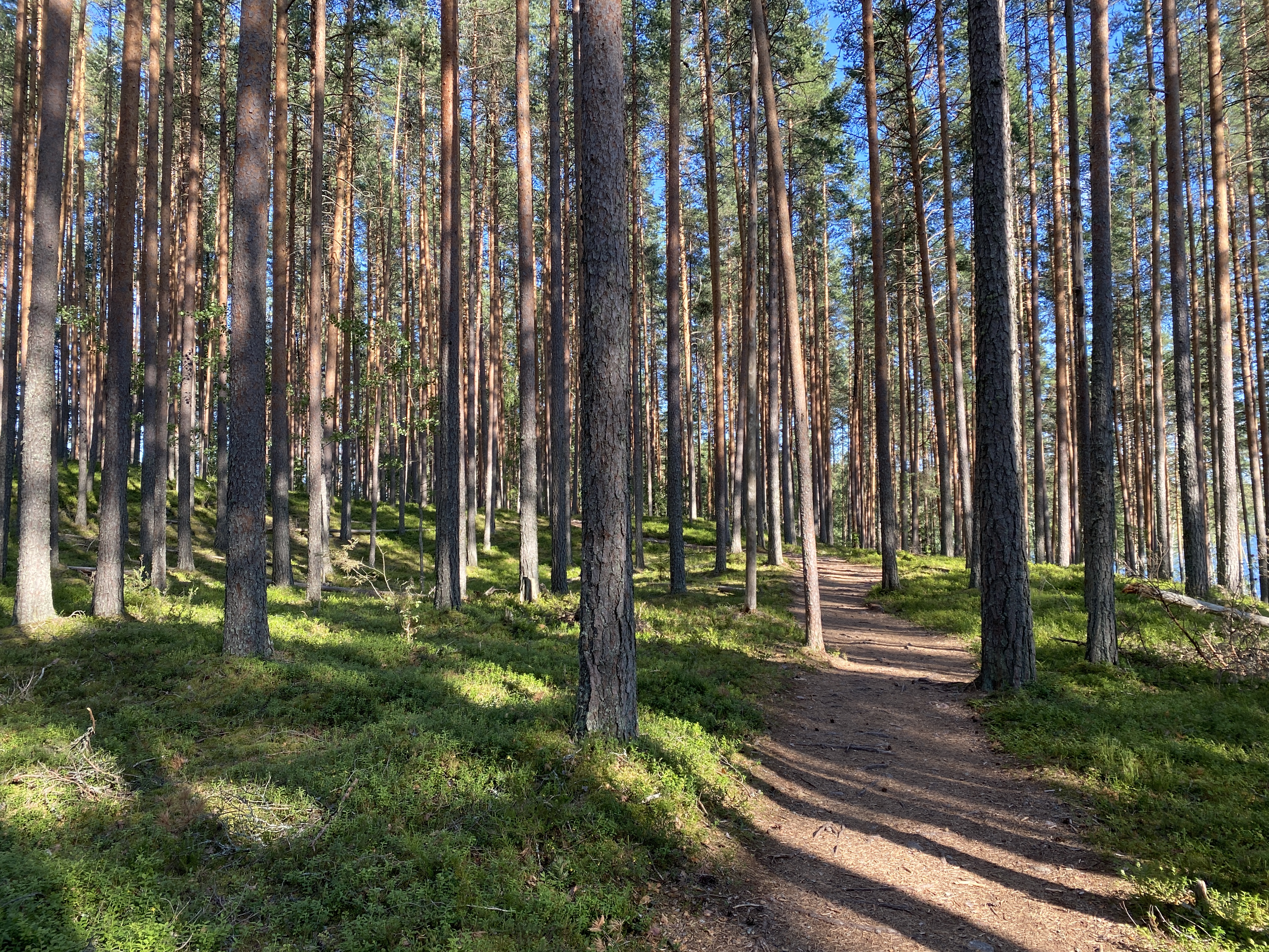 20210712_150740459_iOS