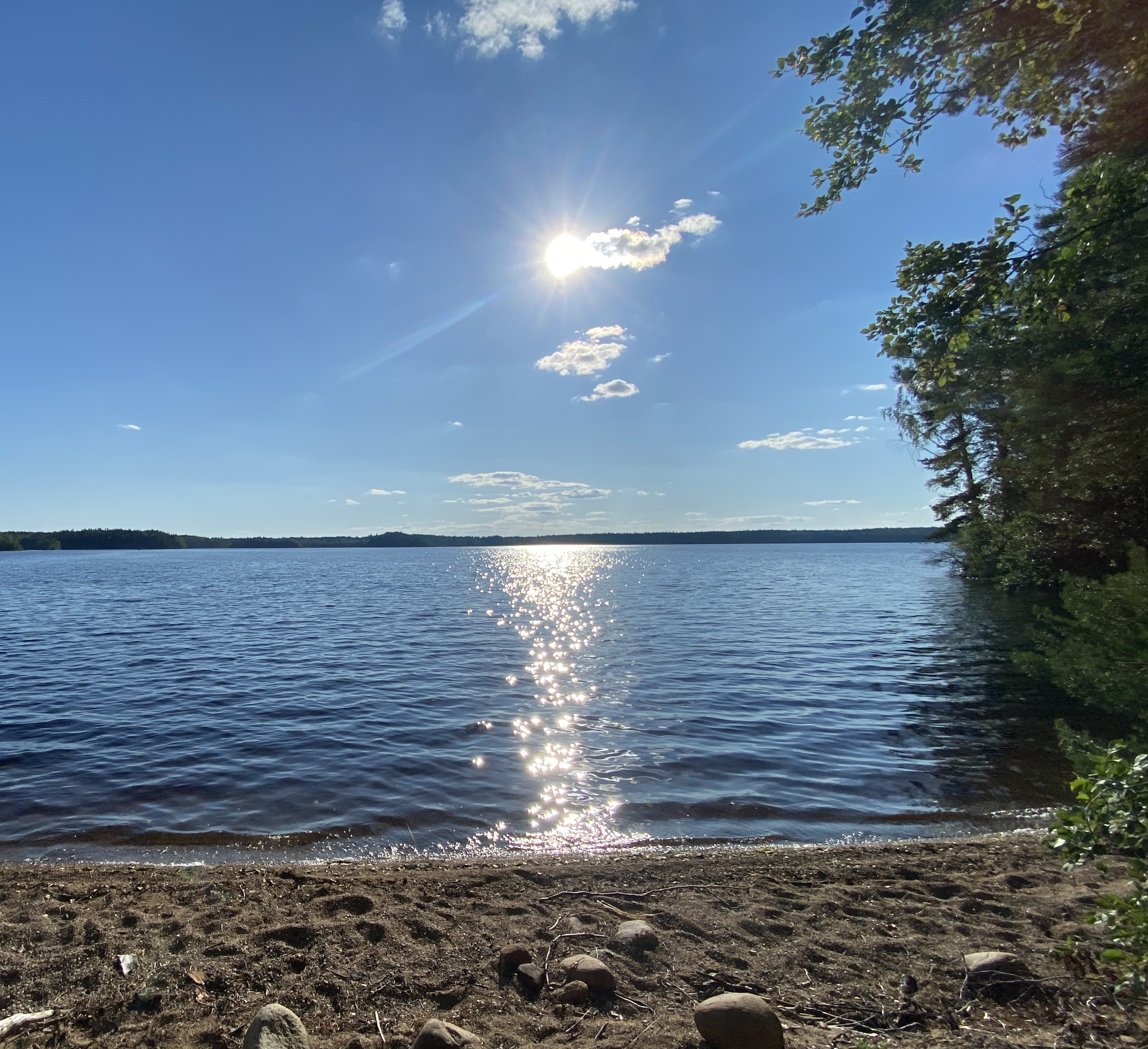 20210712_154335875_iOS