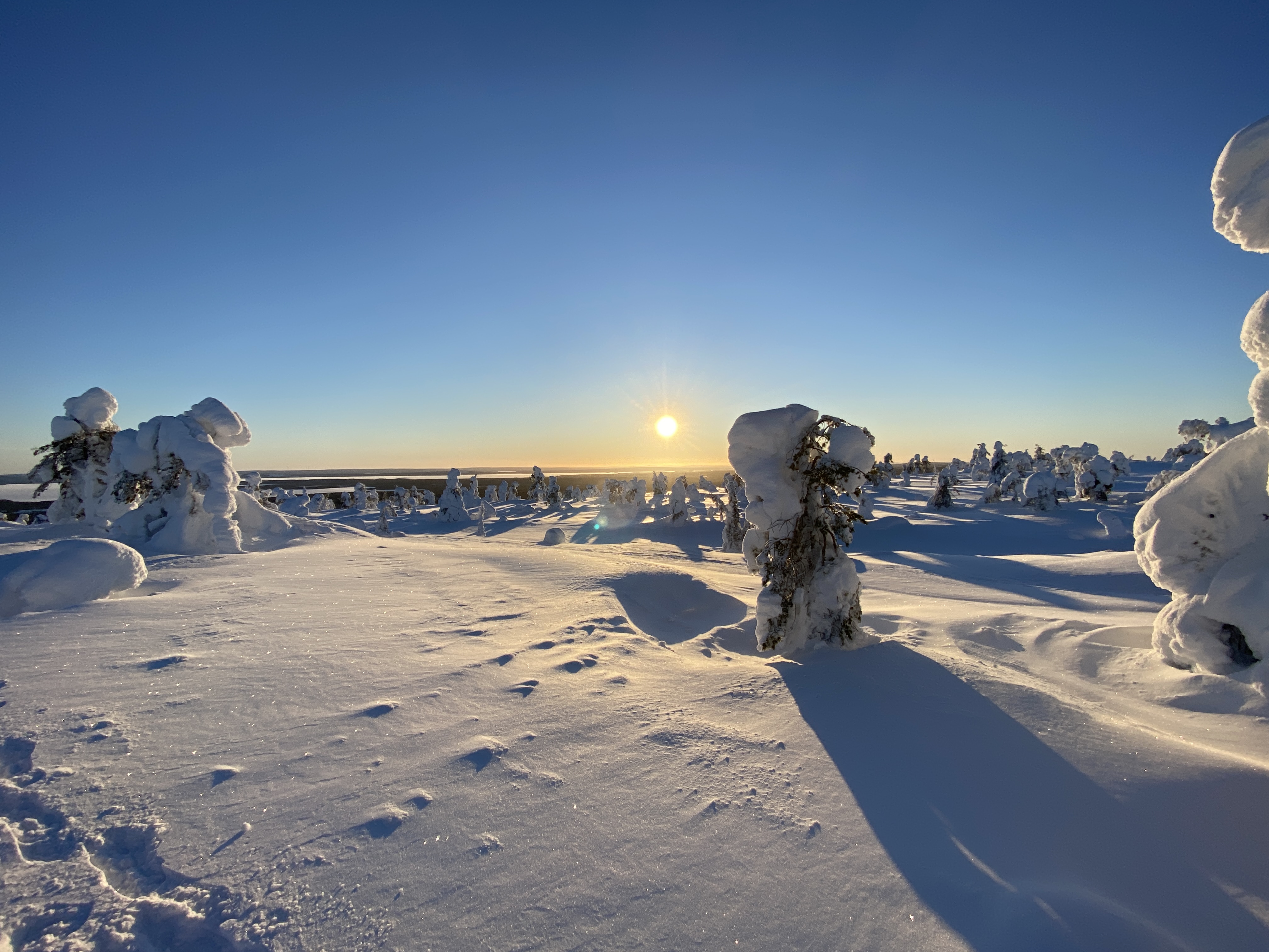 20220125_112634304_iOS