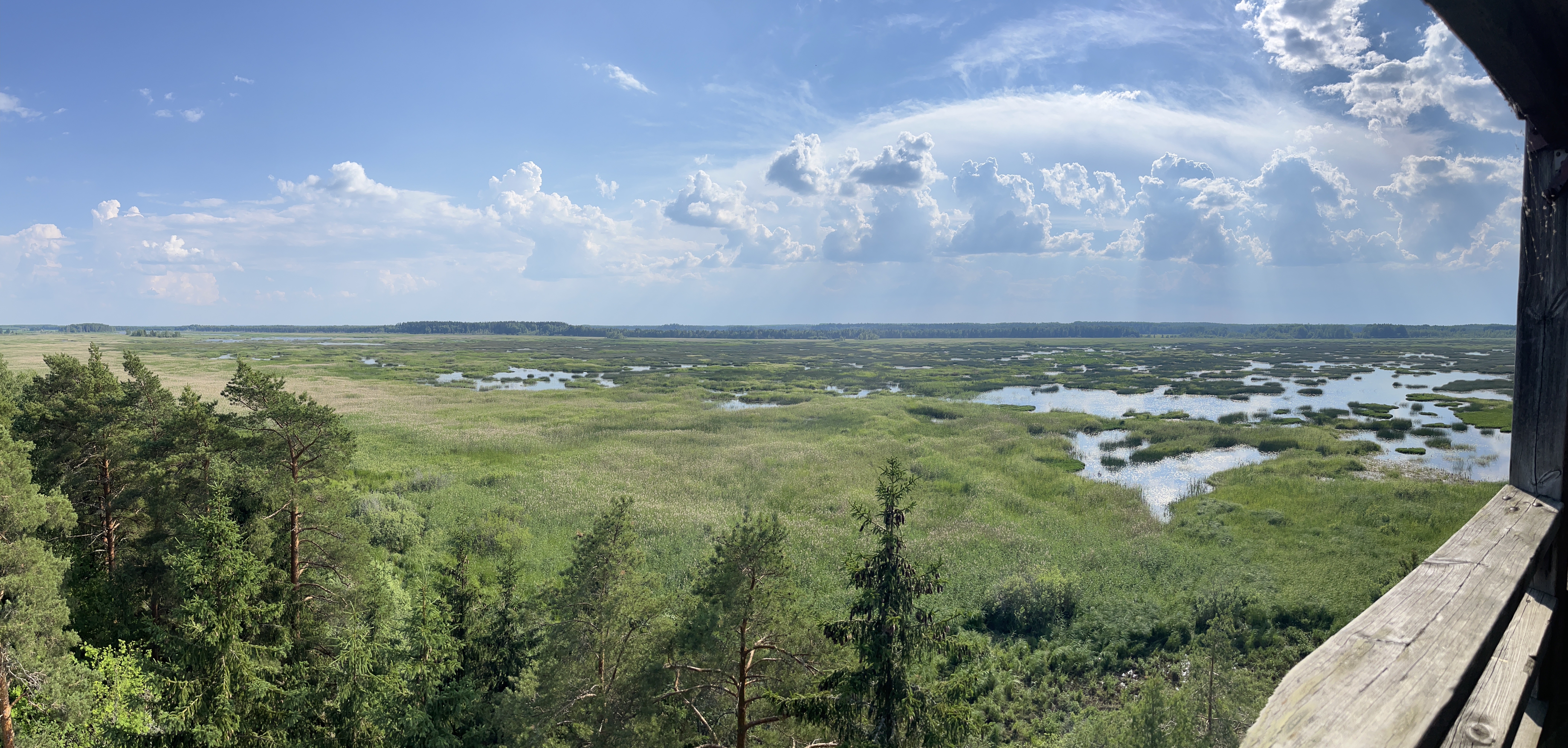 20220628_141156234_iOS