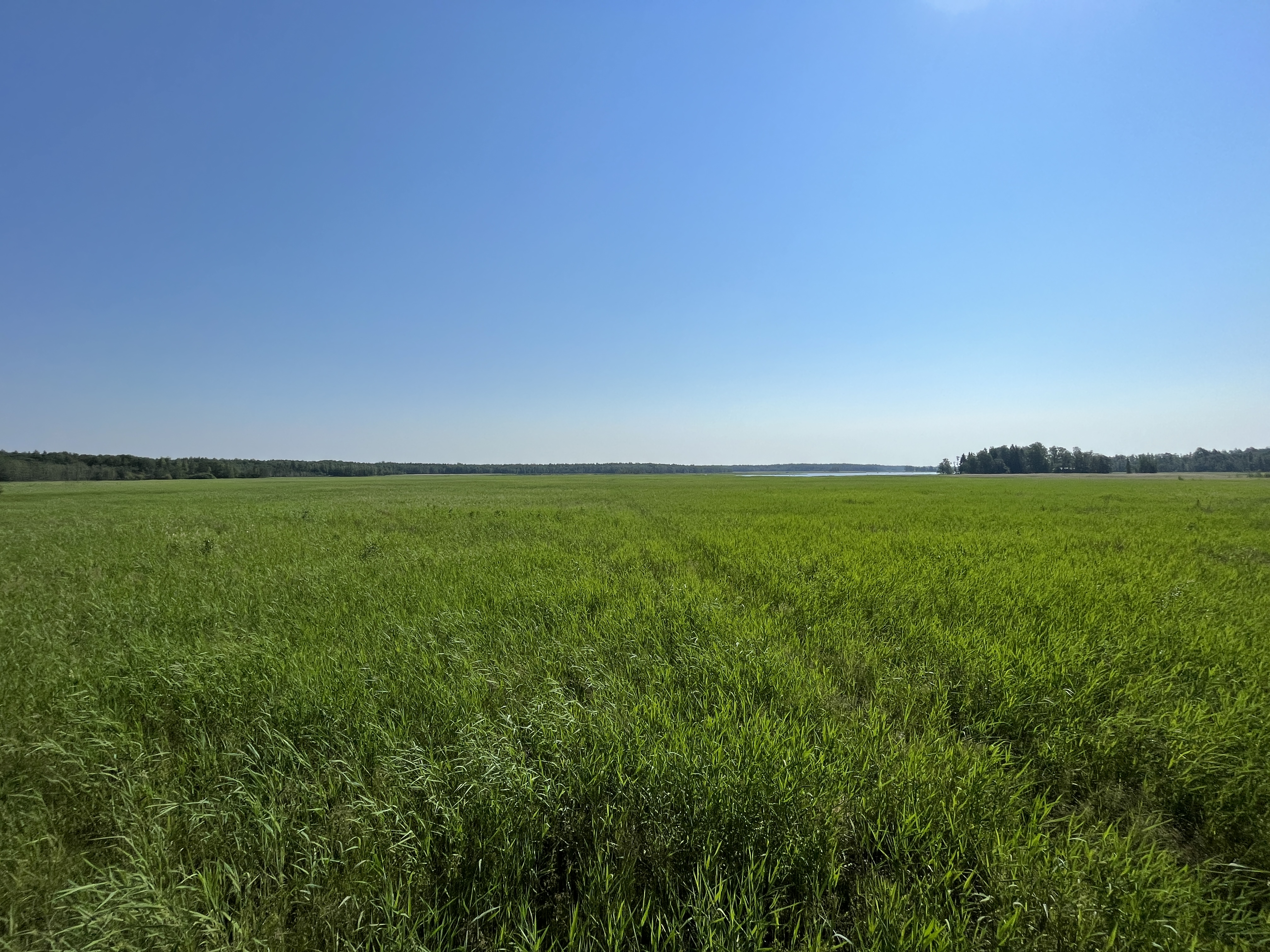 20220629_082417565_iOS