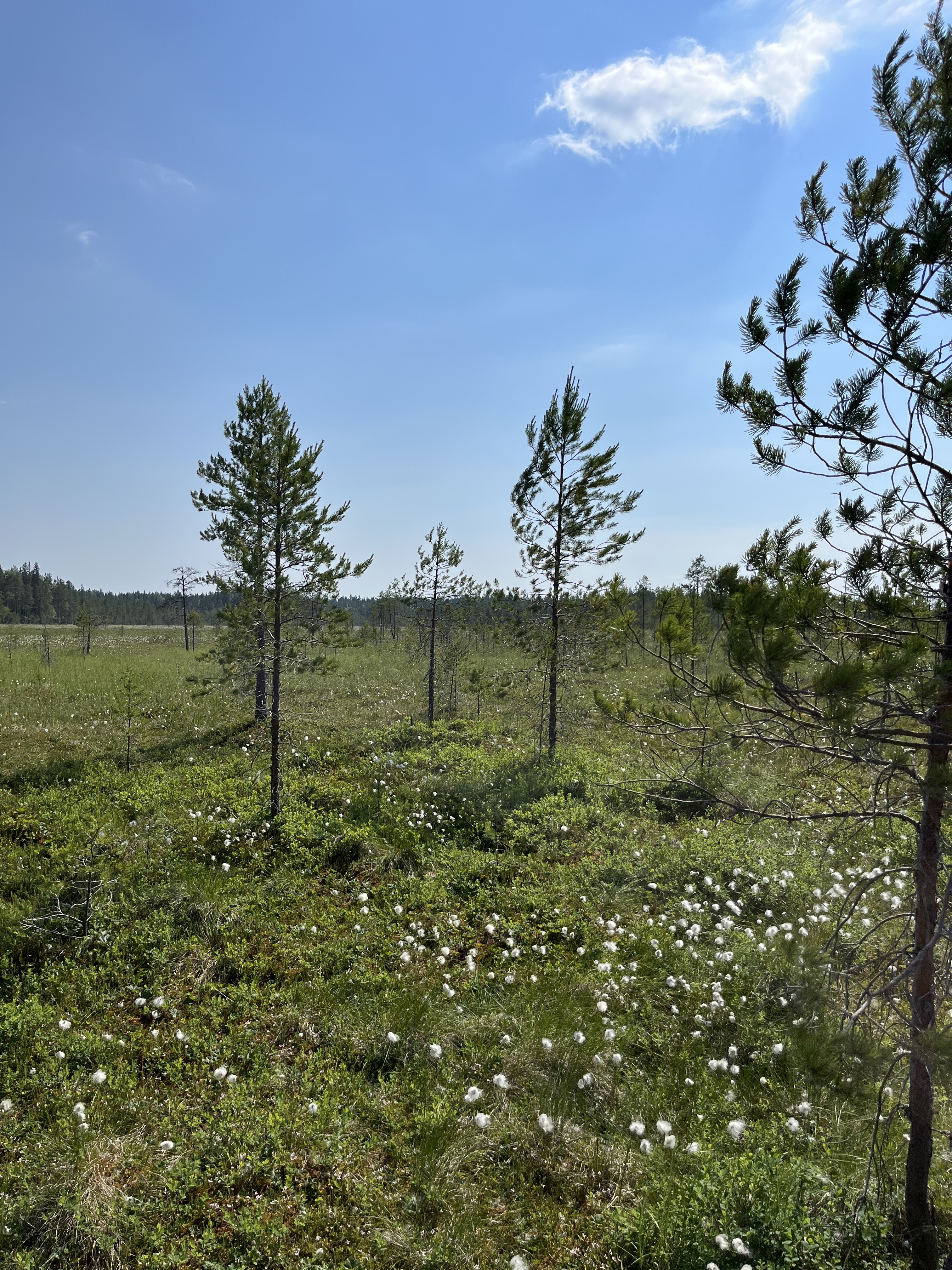 20220629_124257423_iOS