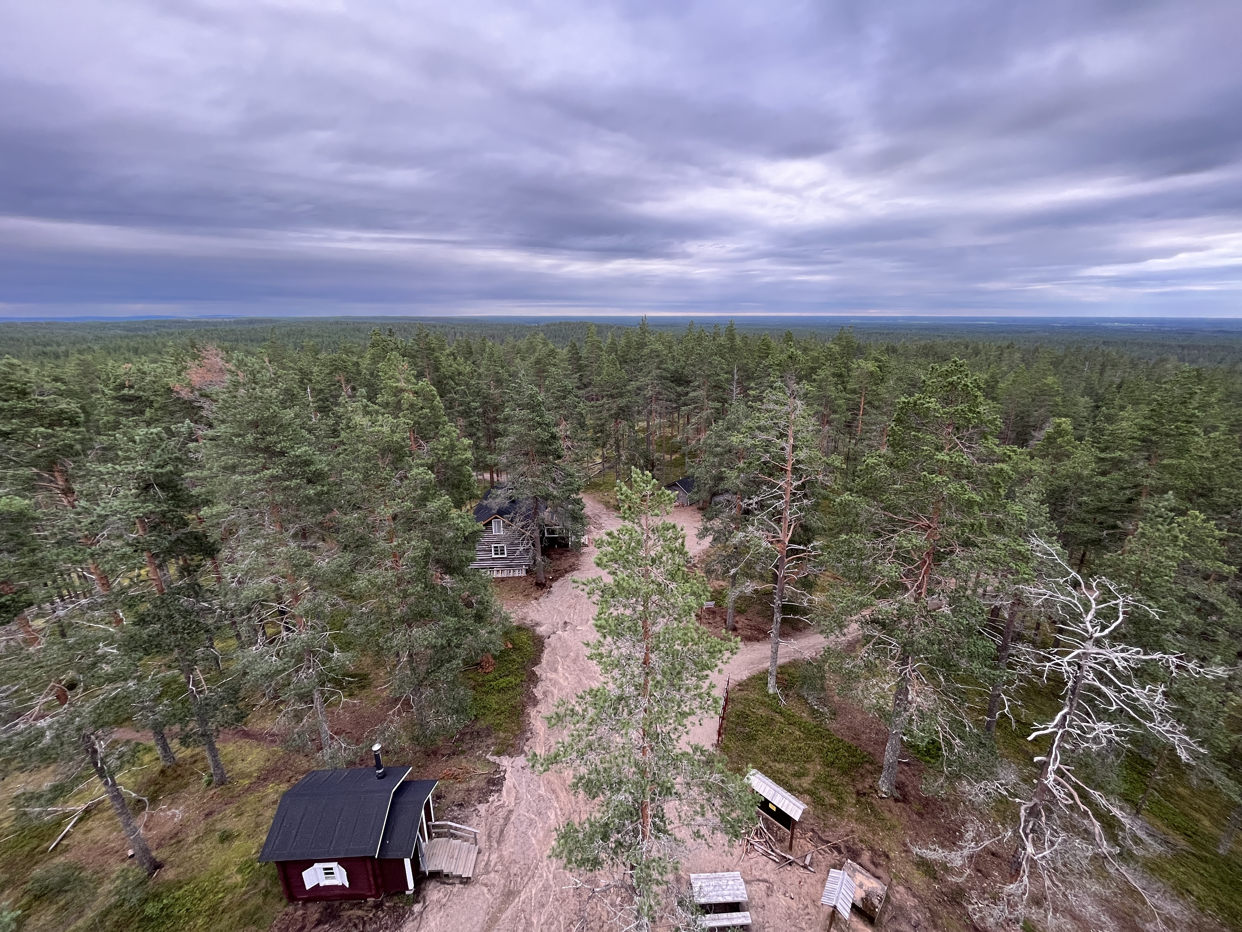 20220803_160539693_iOS