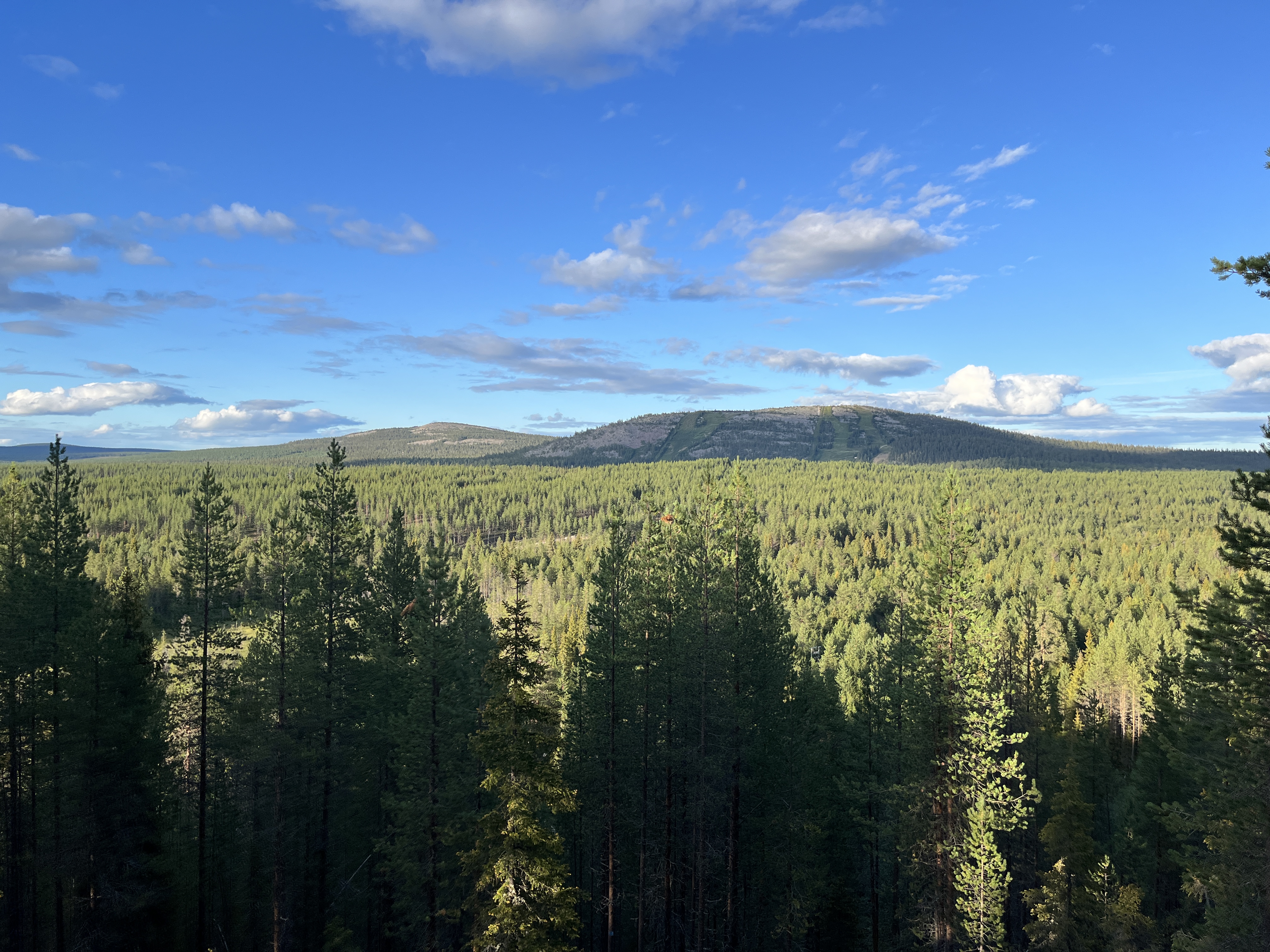 20220808_164522663_iOS