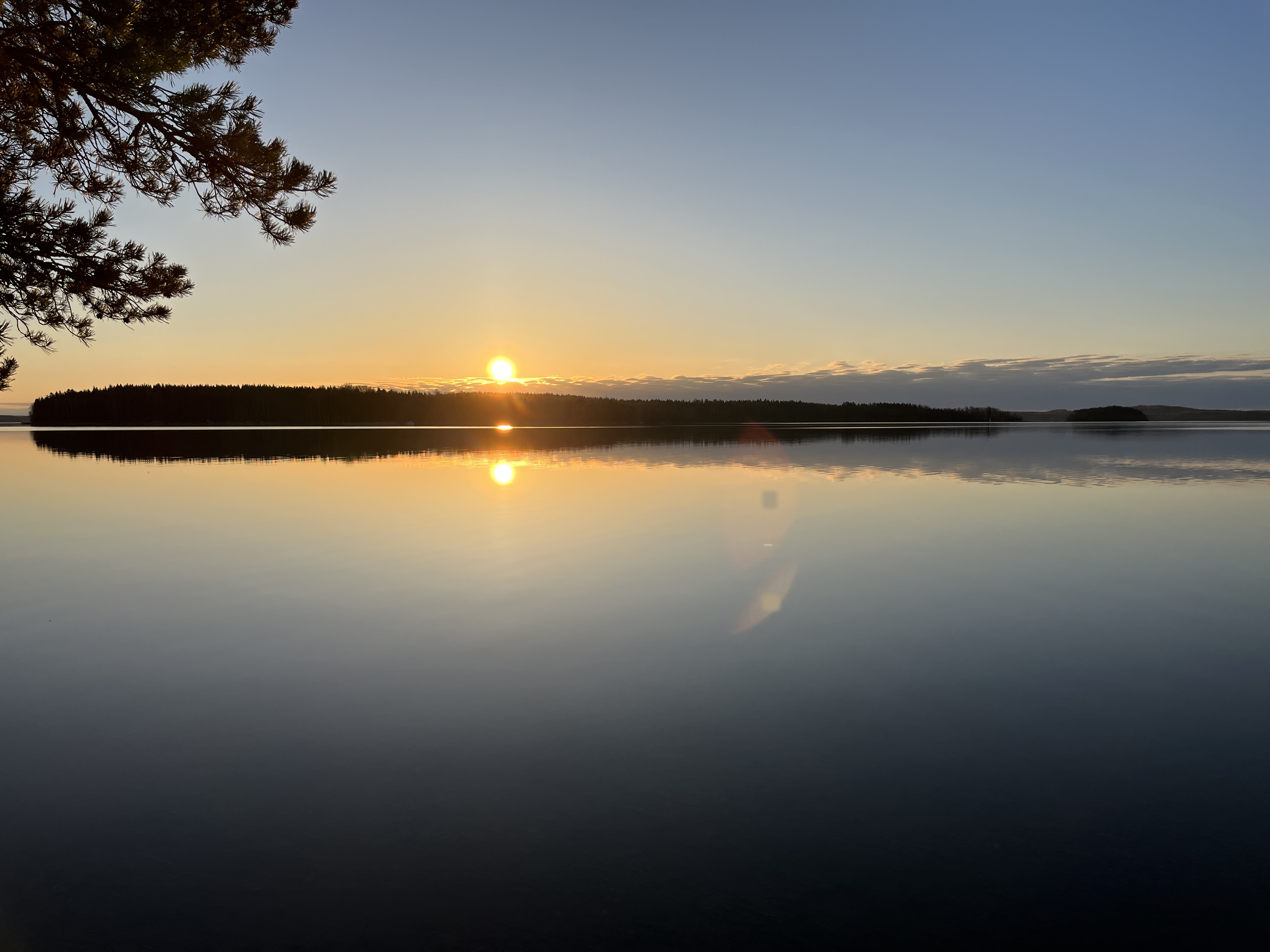 20230507_022920629_iOS