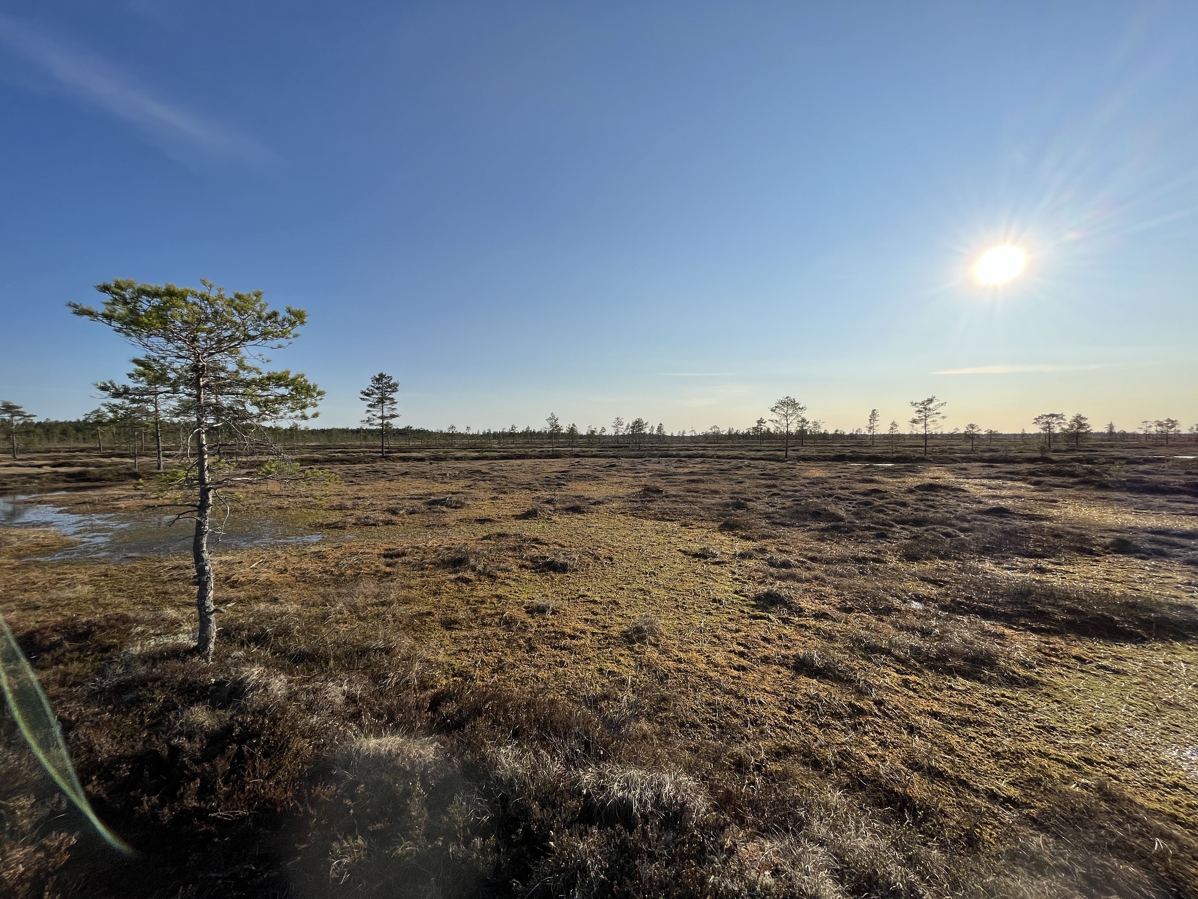 20230519_164627711_iOS