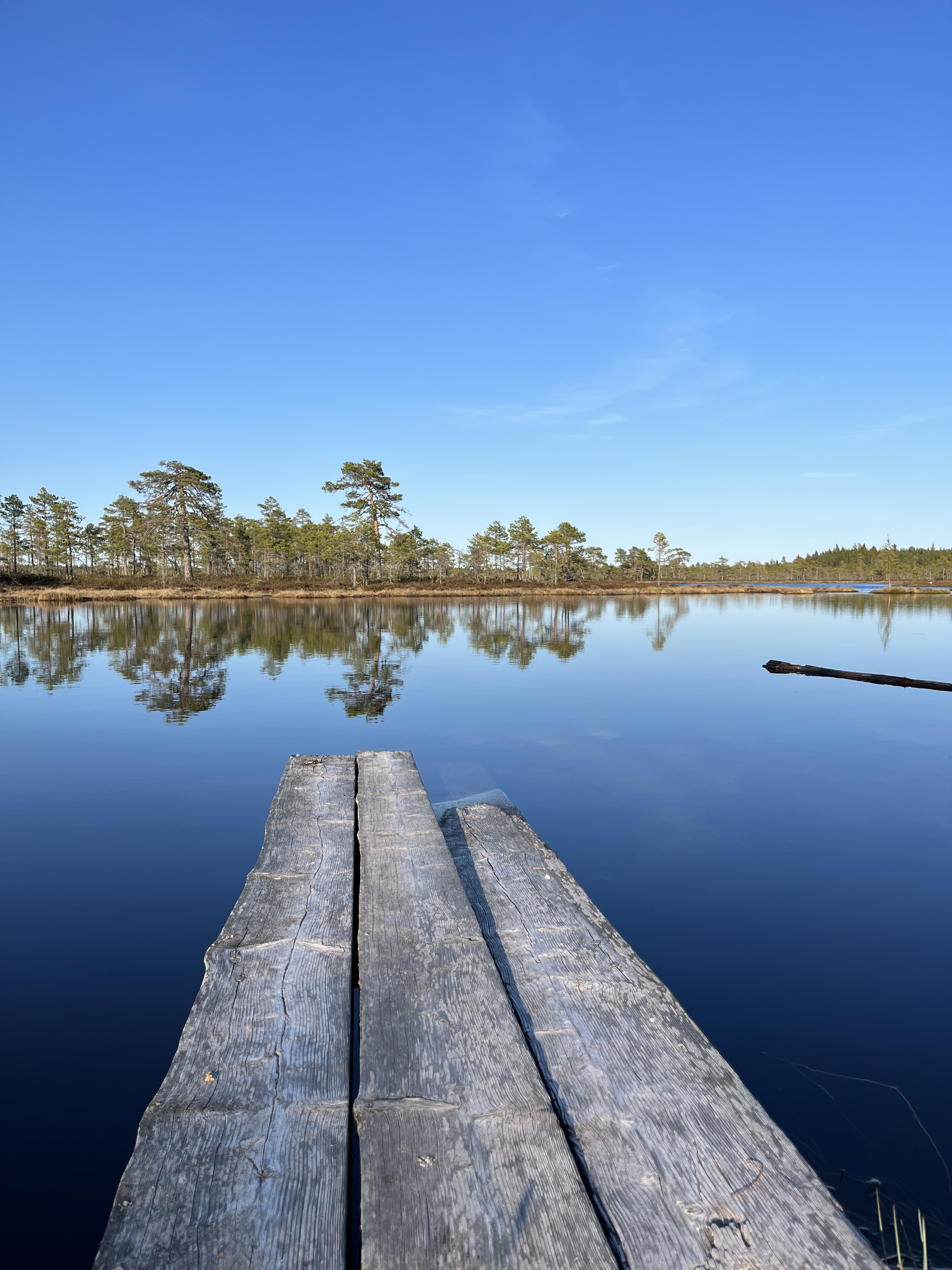 20230519_165719567_iOS