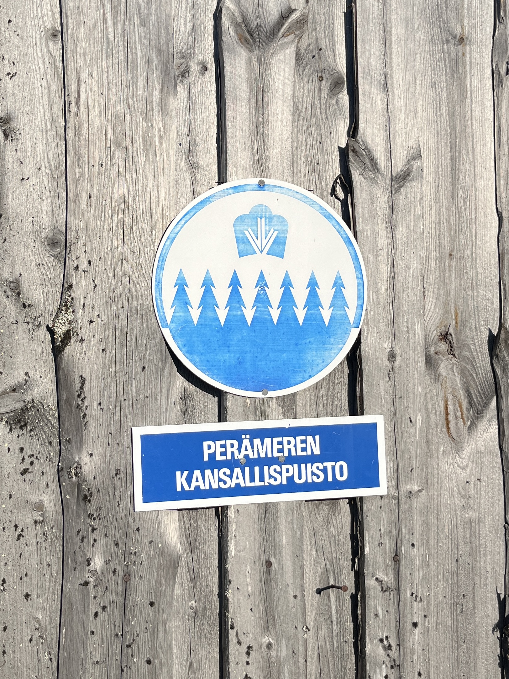 20240608_174513274_iOS