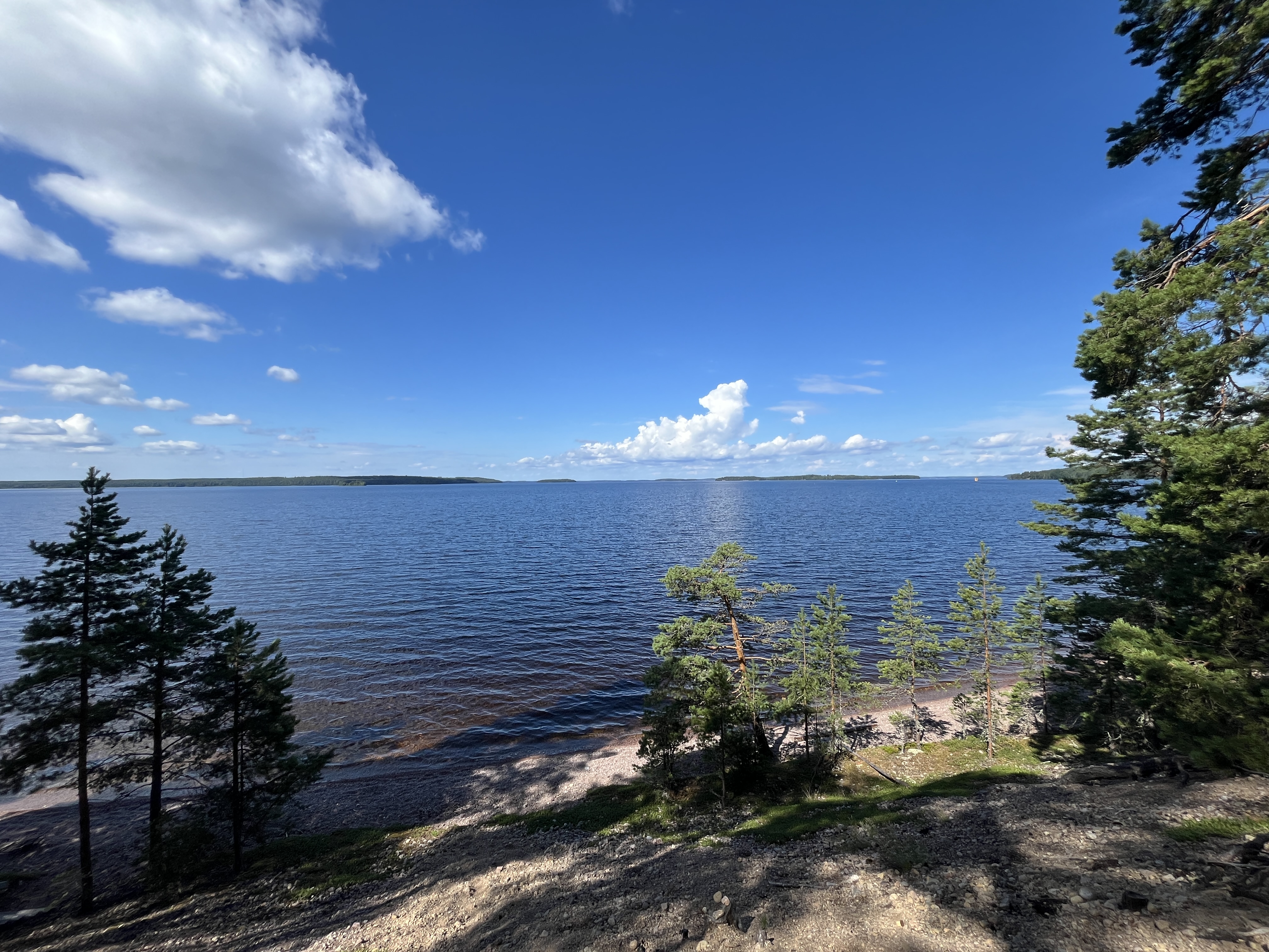 20240716_081846300_iOS