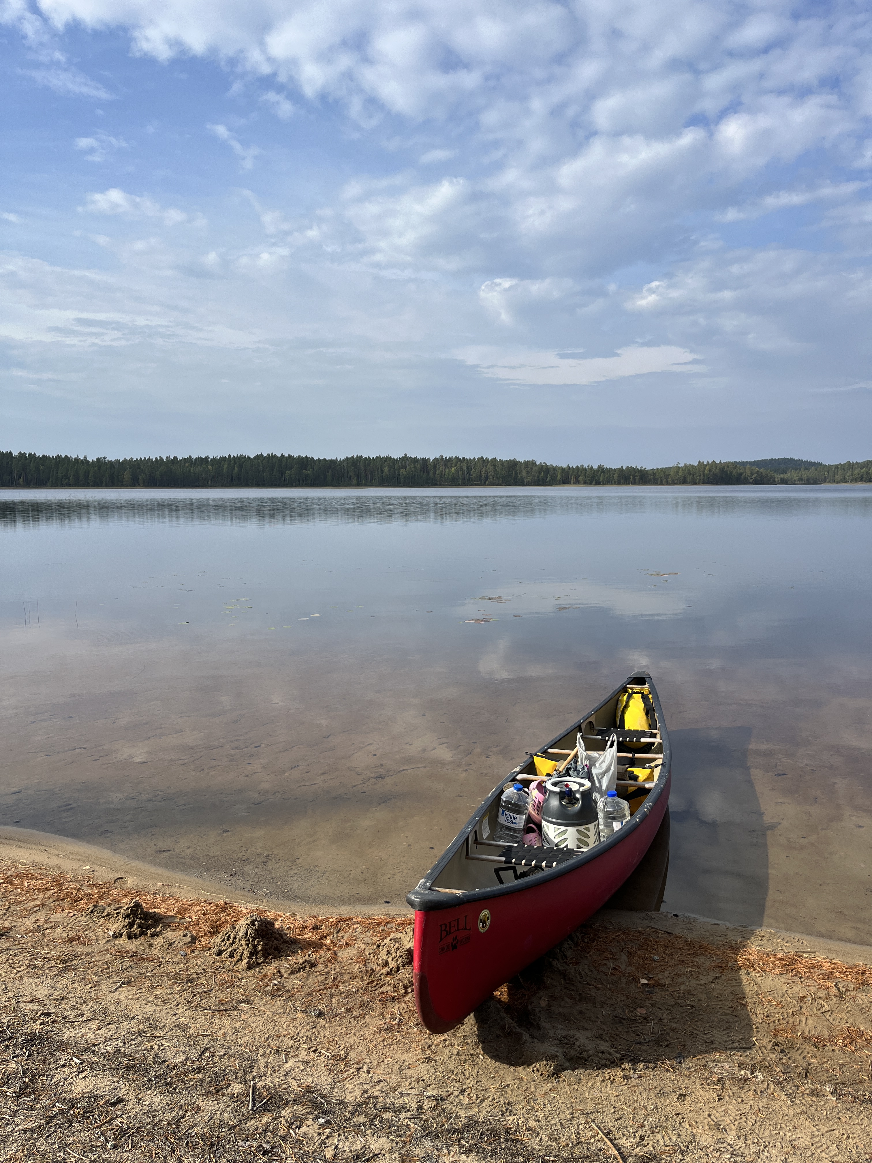 20240913_090413734_iOS