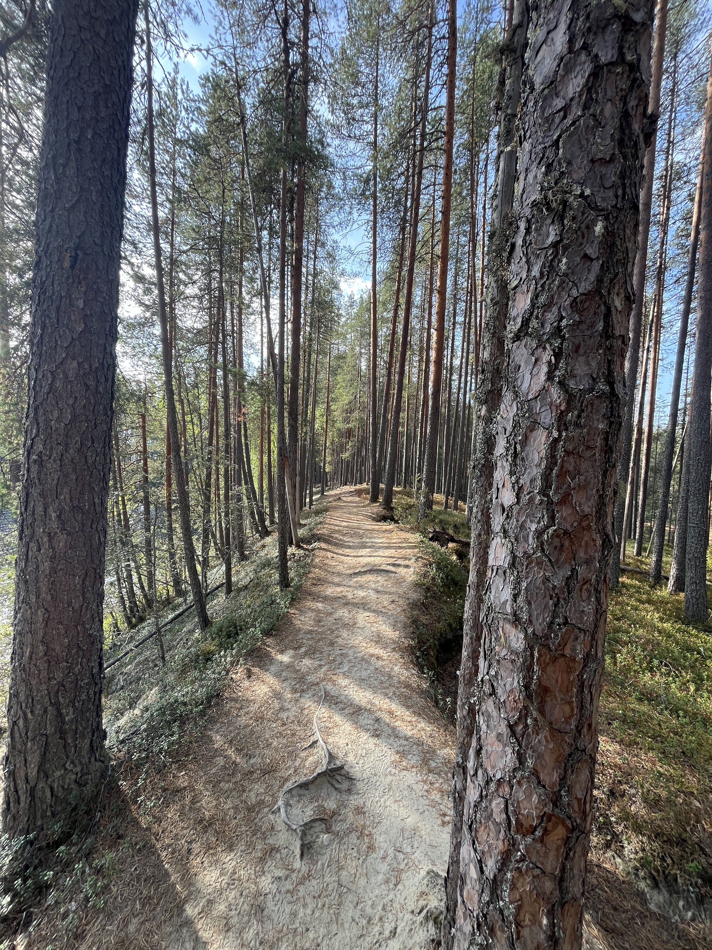 20240914_075308950_iOS